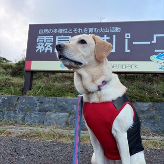 がんばりました🦮