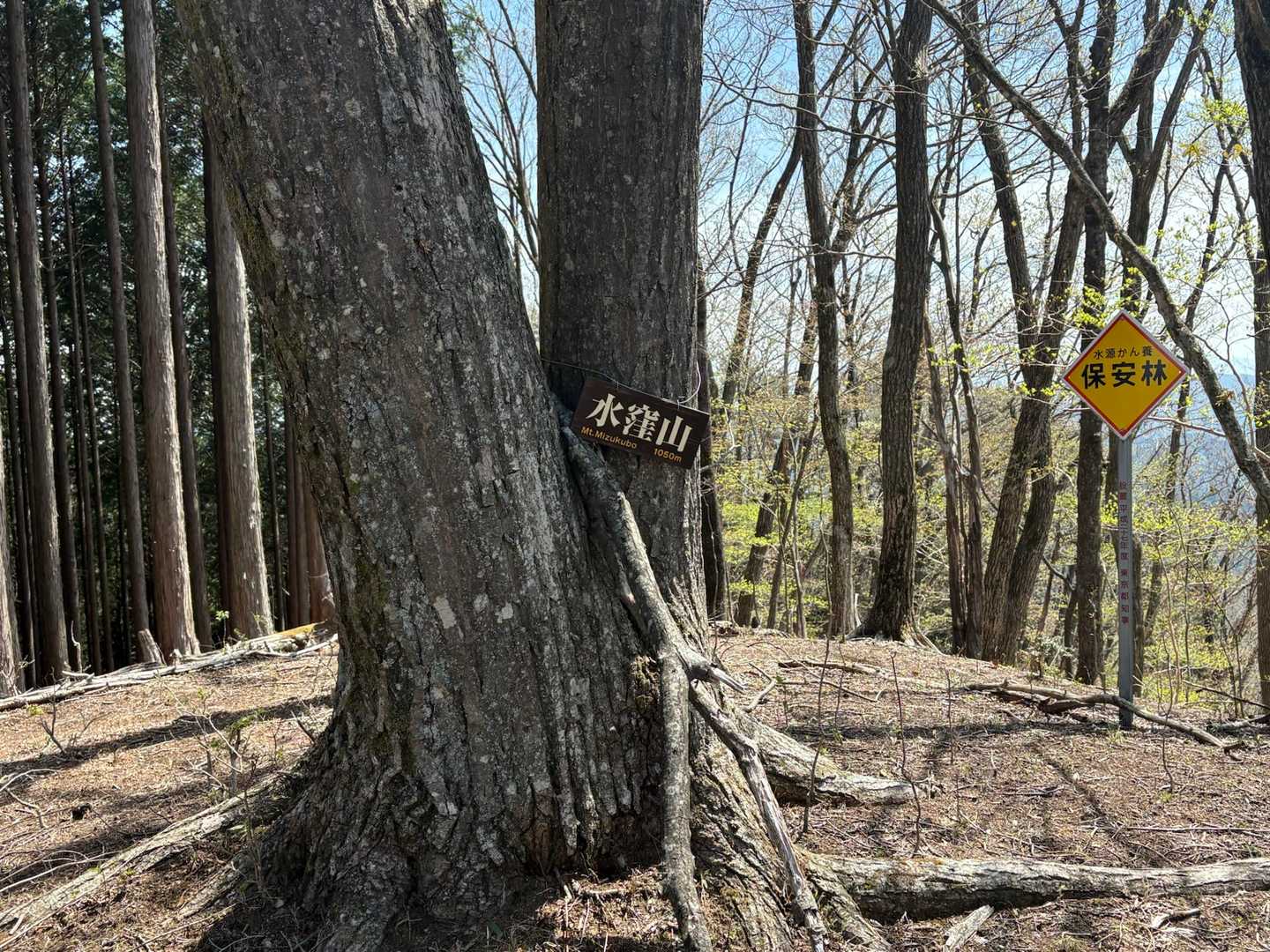 水窪山と山頂標識あるけど、YAMAPの山頂ではない🤔