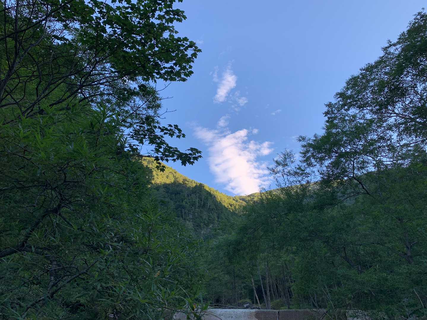 山に陽が差してきました☀️
期待してなかっただけに嬉しさ倍増⤴️⤴️
テンション上がります⤴️🎶