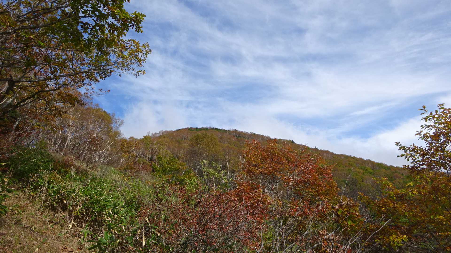 四阿山-花童子の宮跡 周回コースの写真