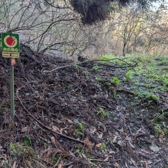 獄筋の登山口まで降りて来ました。今回はパス。
機会を見て登ります。