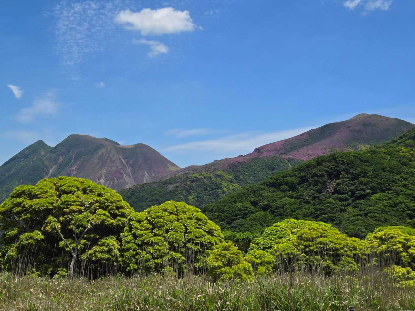 こちらのルート、くじゅうの山々をゆっくり眺めながら楽しめるので、自分好み✨️🎶
