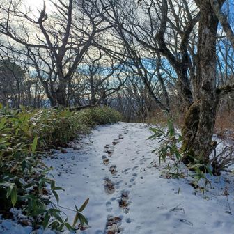 さて、胎内くぐりへ