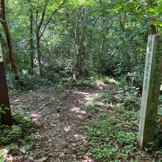 ↖︎横山登山口　1時間20分

え？そんなにかかるん⁉️😨