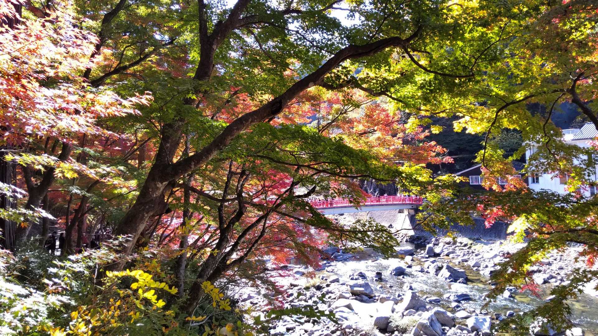 香積寺-飯盛山-飯盛山登山口 周回コースの写真