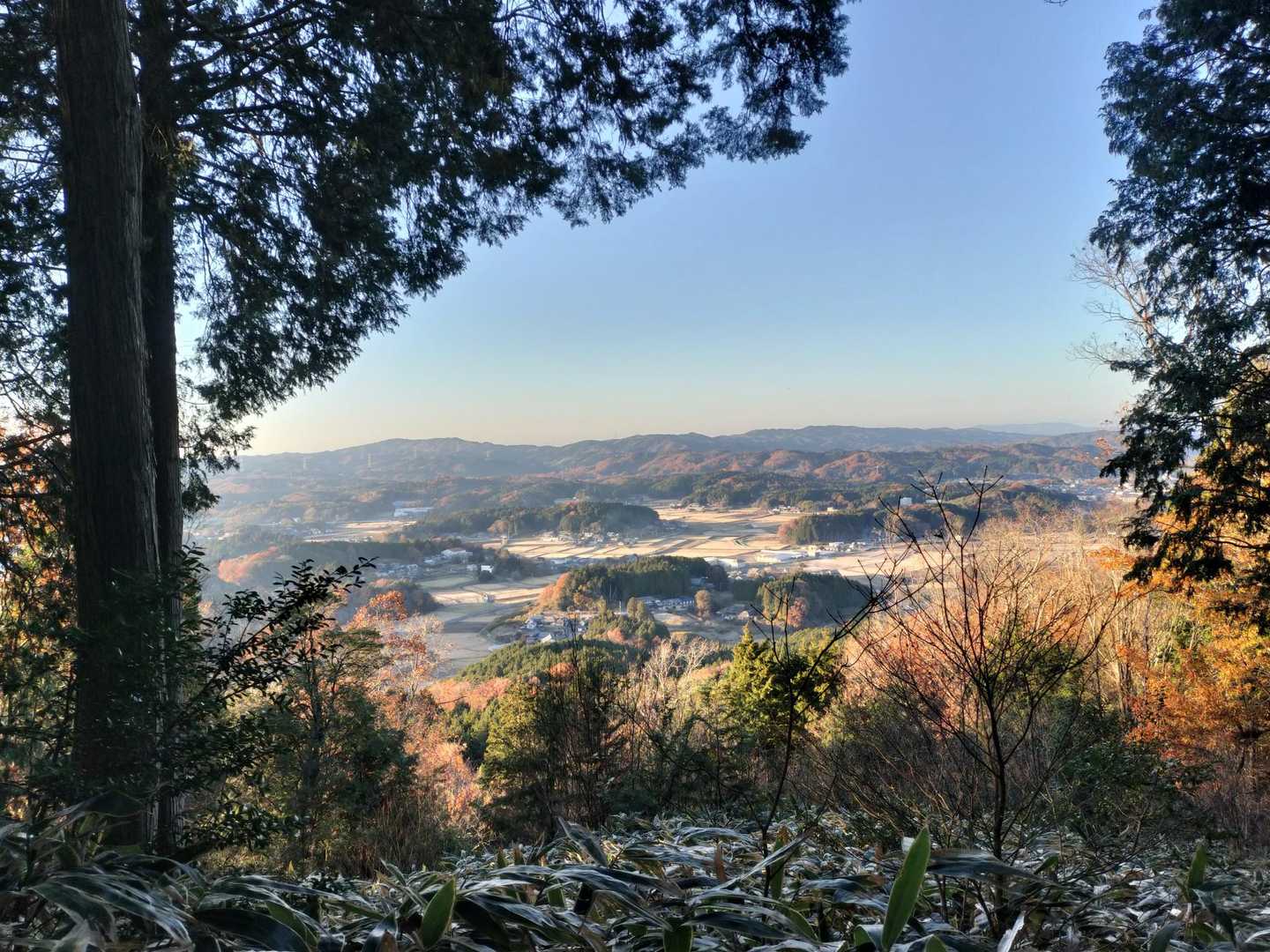 思ったより景色が良くて嬉しい✨