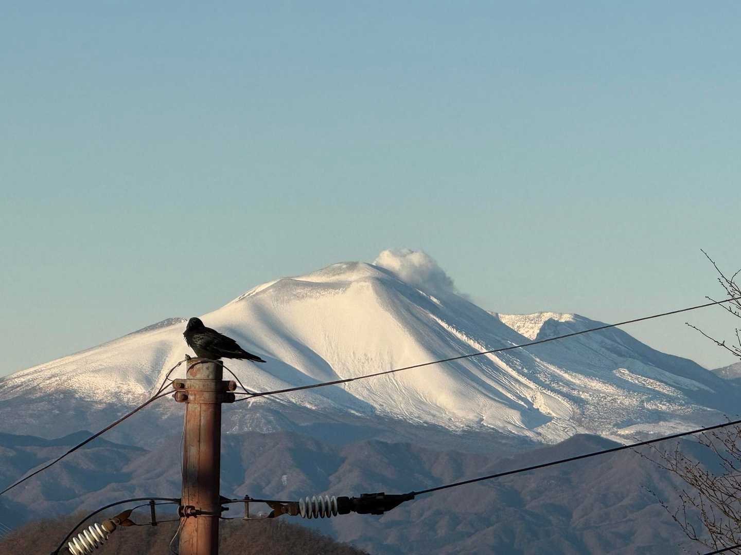 カラス🐦‍⬛の向こうに
浅間山🌋
噴煙が出てる🧐