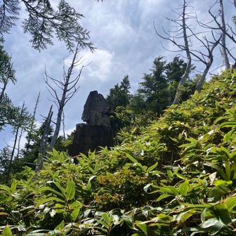 25、白草山へ㉑
3つの岩が縦に重なった岩。なんでそうなったんだろ？