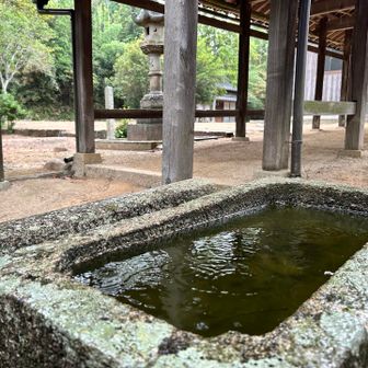 和霊神社⛩️
ポツポツと降ってきました☂️
