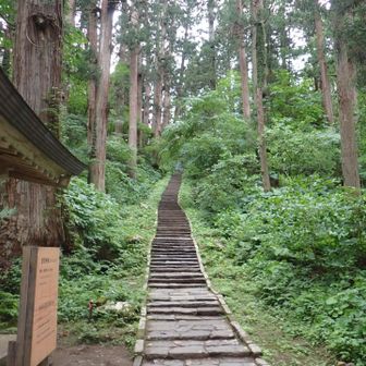 最後の登り返しがきつい🤣🤣🤣
ハイカーの意地の見せ所だ！