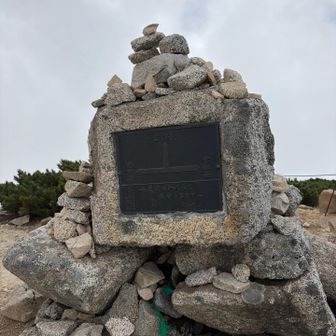 無念。