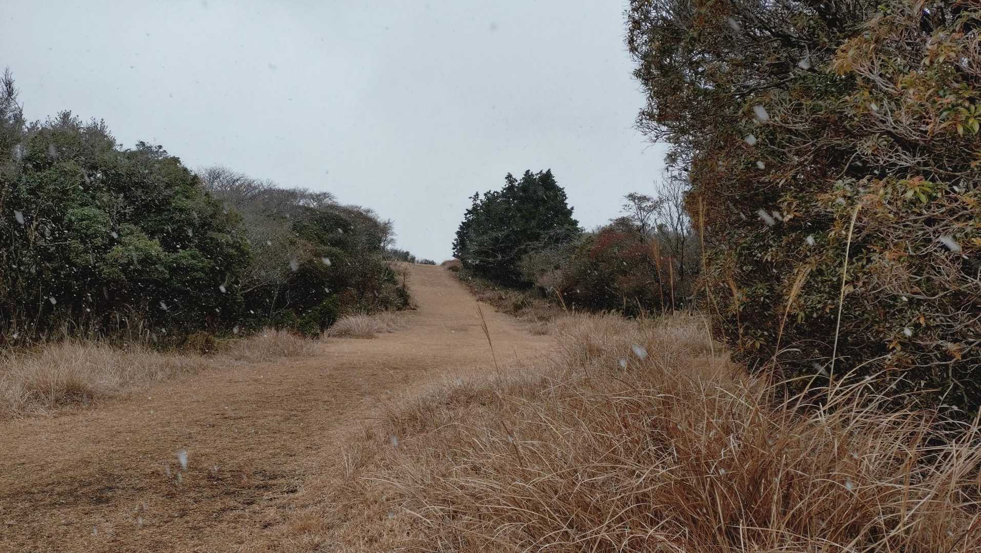 先ずは金冠山へ。
ゴルフコースのようななだらかなトレイル⛳️