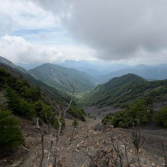 雨は降らないはず☔️