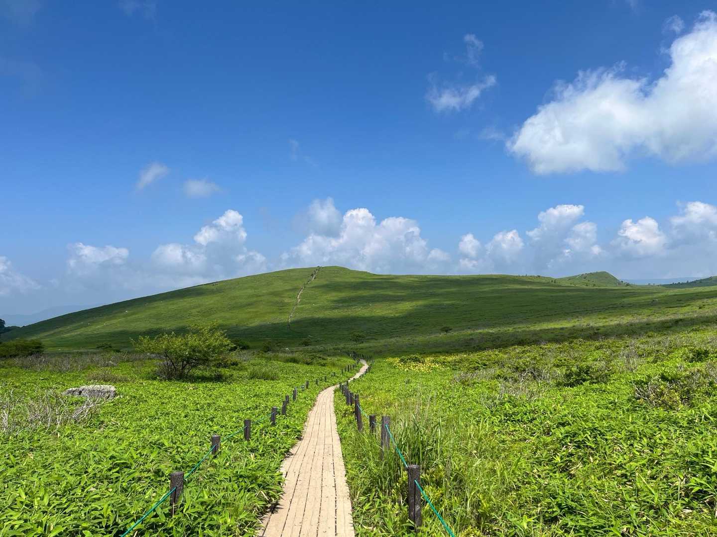 蝶々深山へ綺麗な木道続きます