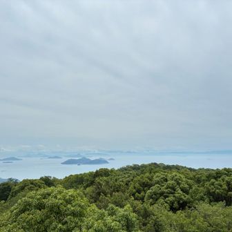 からの景色