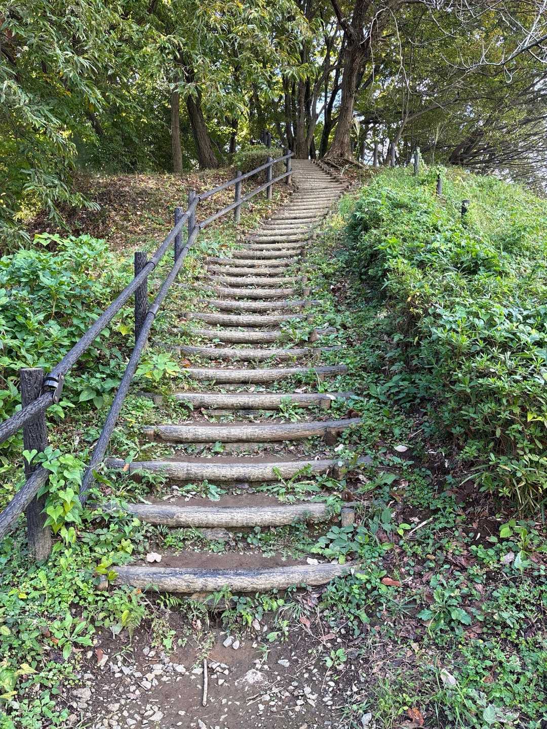 諏訪ヶ岳-古道五差路 縦走コースの写真