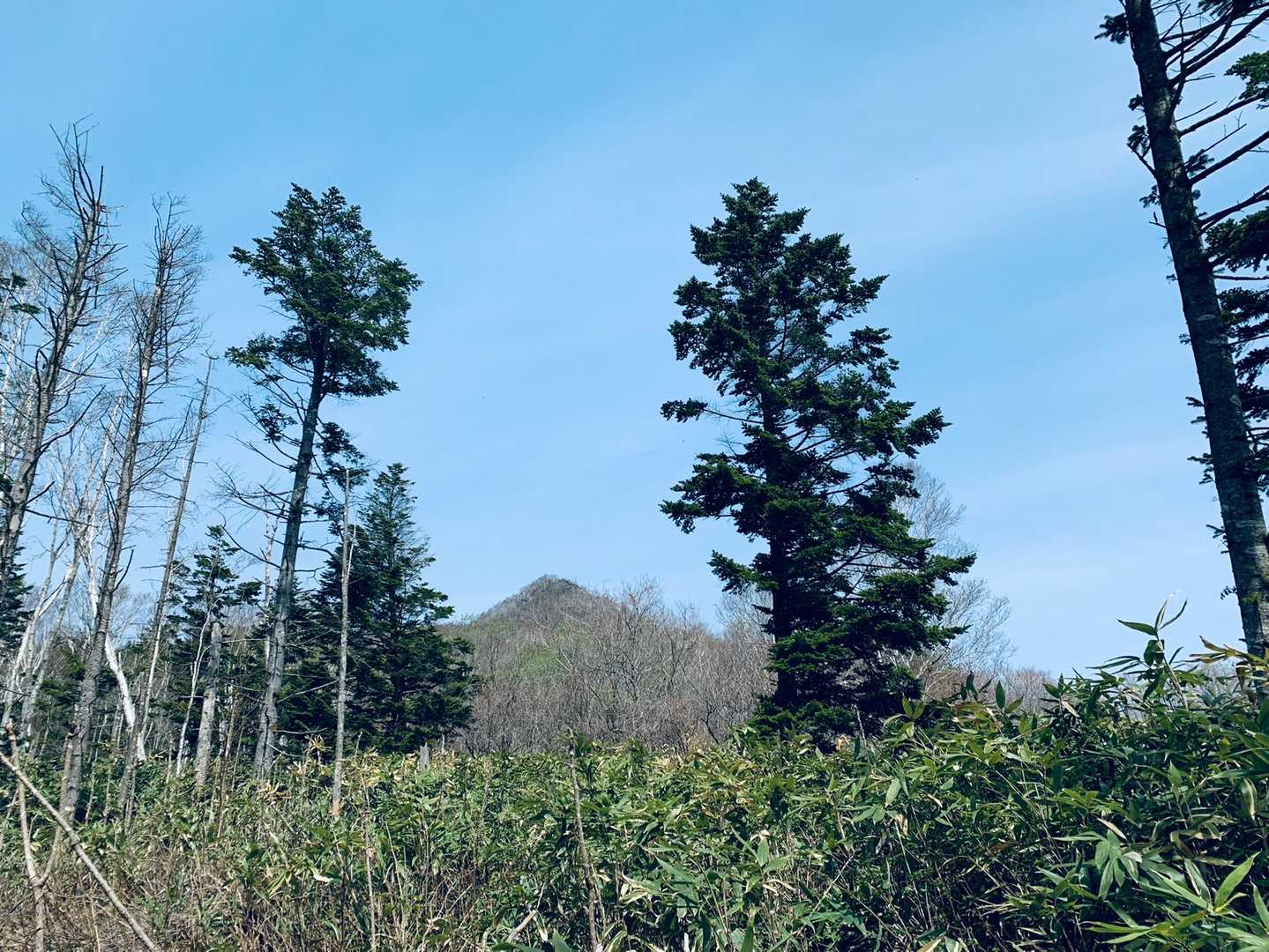 いつものとこです☺️