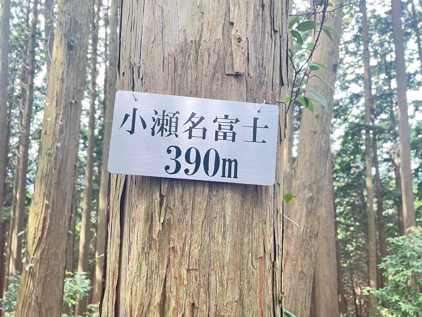 日和田山登山口-金刀比羅神社-日和田山-高指山-物見山-小 往復コースの写真