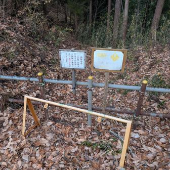 ところどころに通行止めが。
でもこういう道迷い対策はありがたいですよね