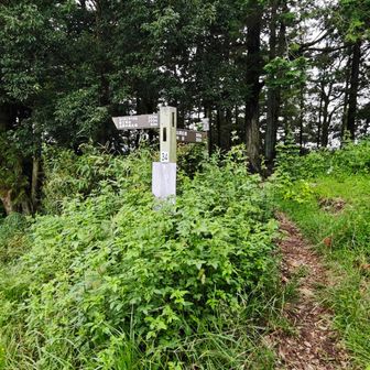 神社の裏へ