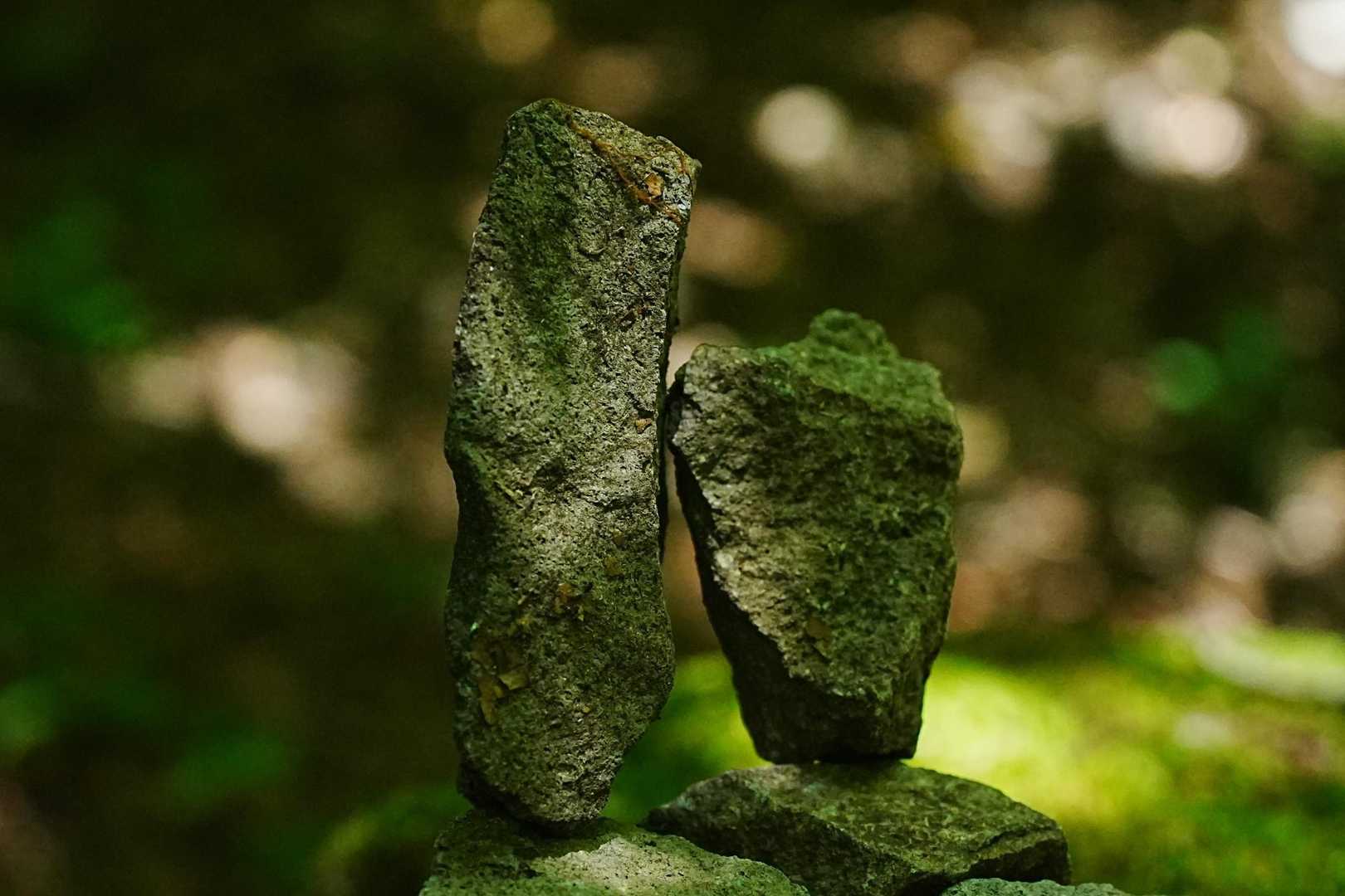 御前岳登山口-御前岳 往復コースの写真