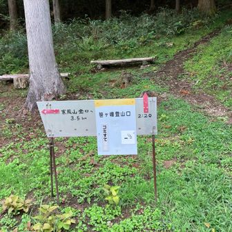 笹ヶ峰の駐車場につきました