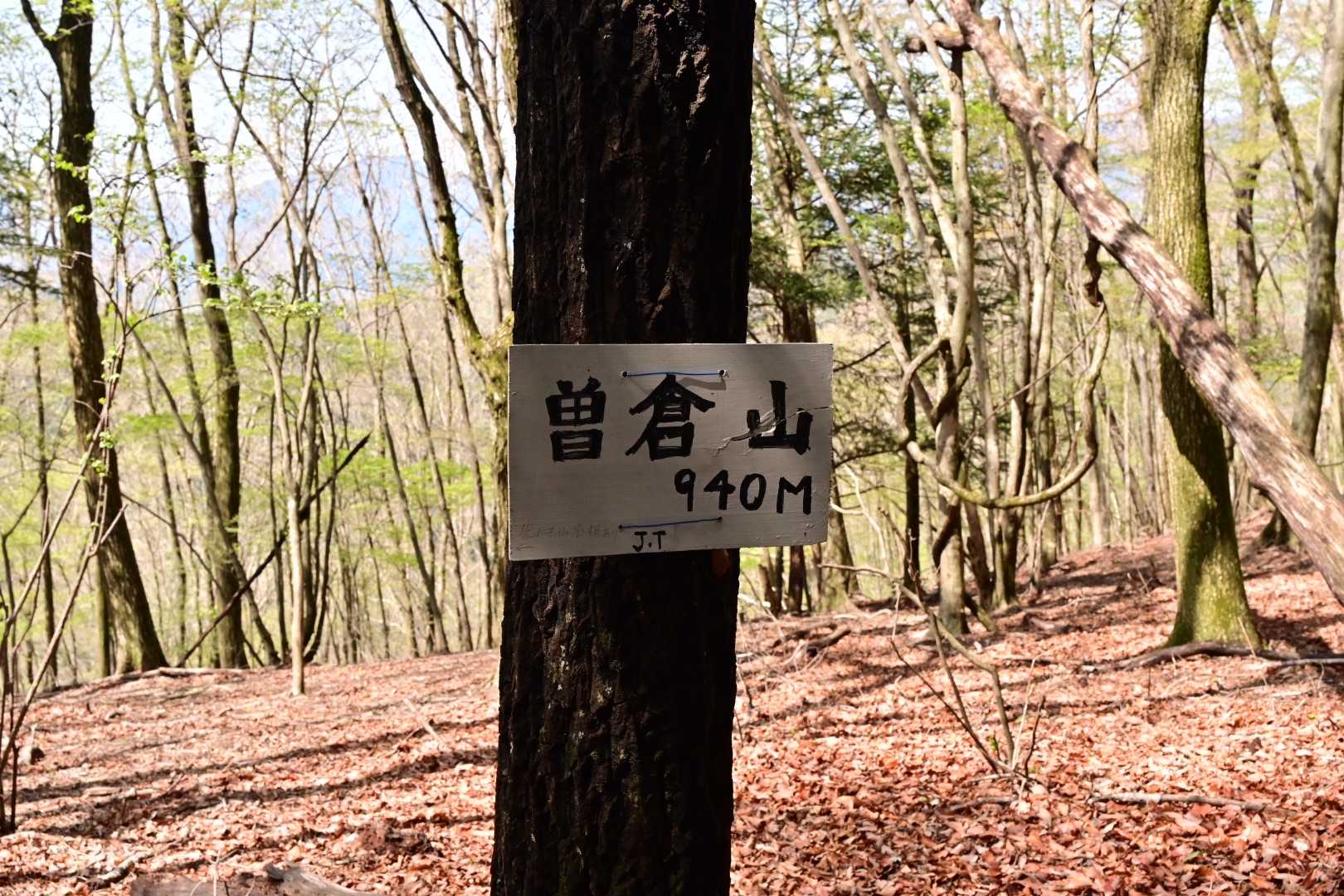 山なんだ。
