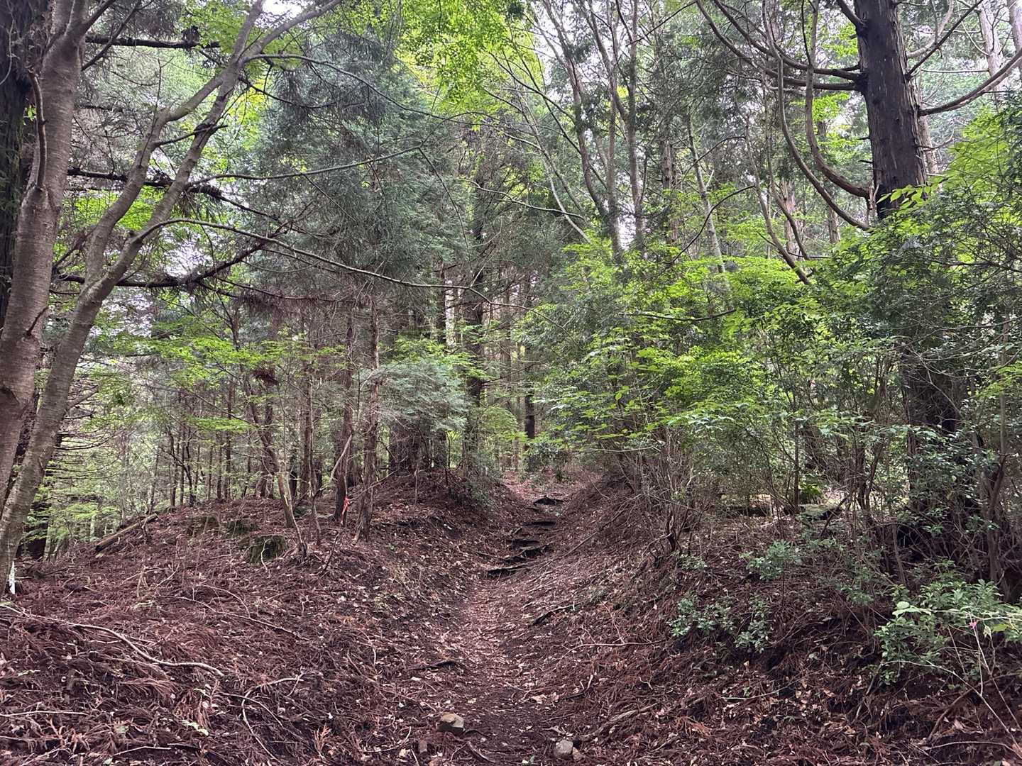 実はお初の瀬の本登山口からスタート