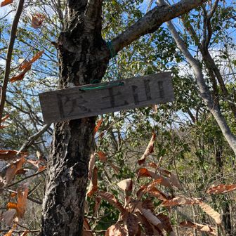 医王山プレート📸
眺望はほぼナッシング🙅‍♂️