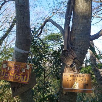 313mだからサンドイッチ？