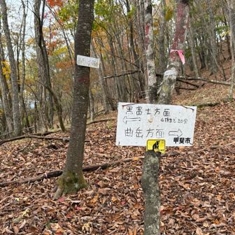 分岐にある標識