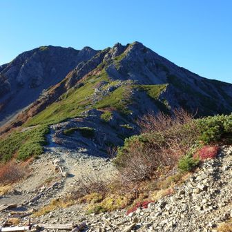 西農鳥岳、こんなところ今から登るの？　