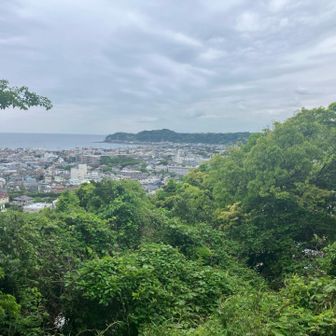 天気が良ければ富士山見えたかな🗻