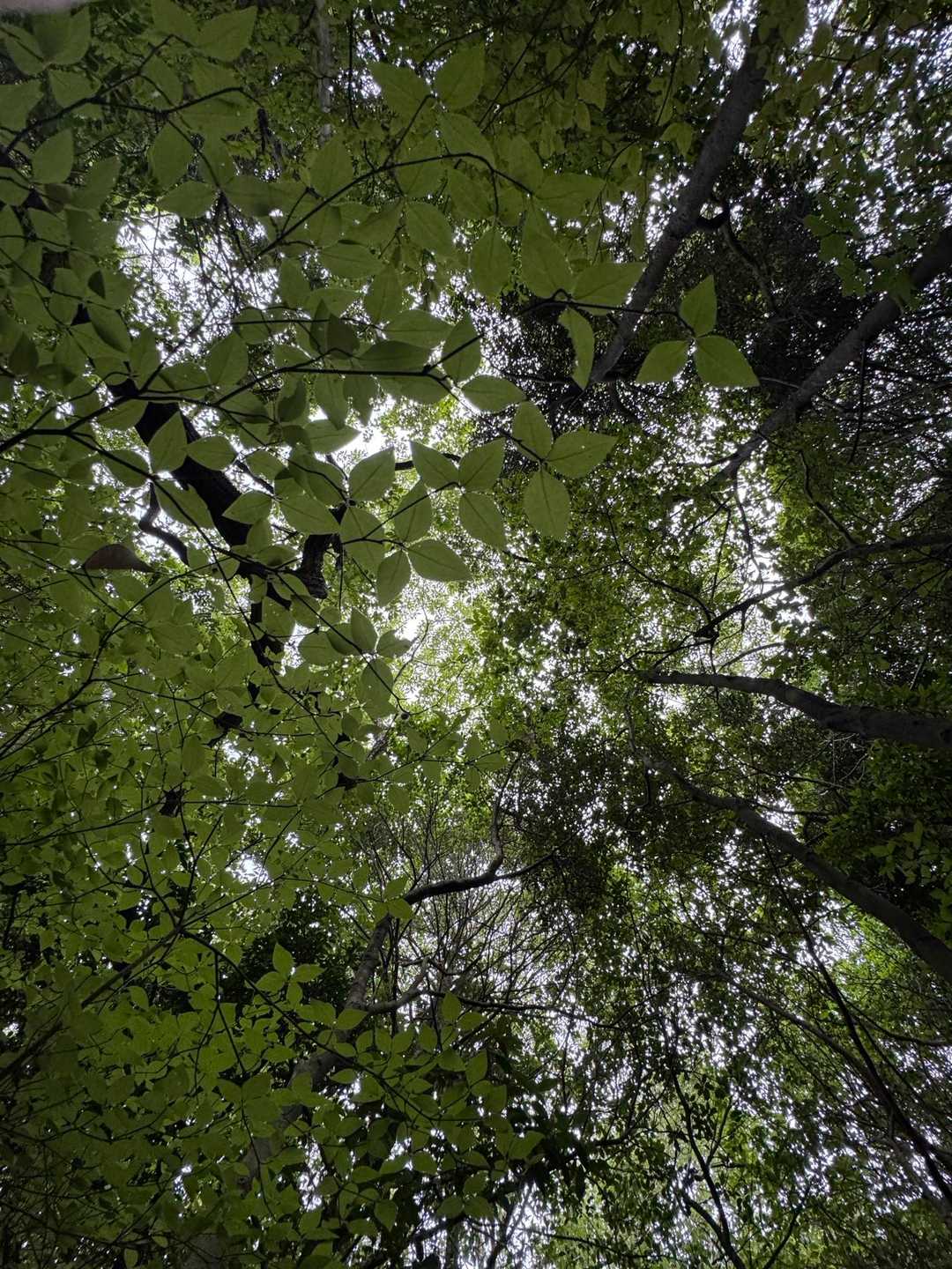 樹林帯抜けるだけで目眩するんですけどw
まじで帰ろうかと思った。