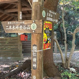 今日の最高地点