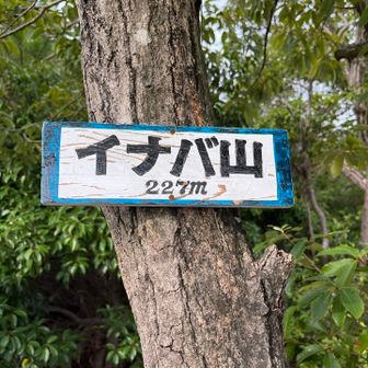 イナバ山です。もう少し歩きたいので下山せずに移動