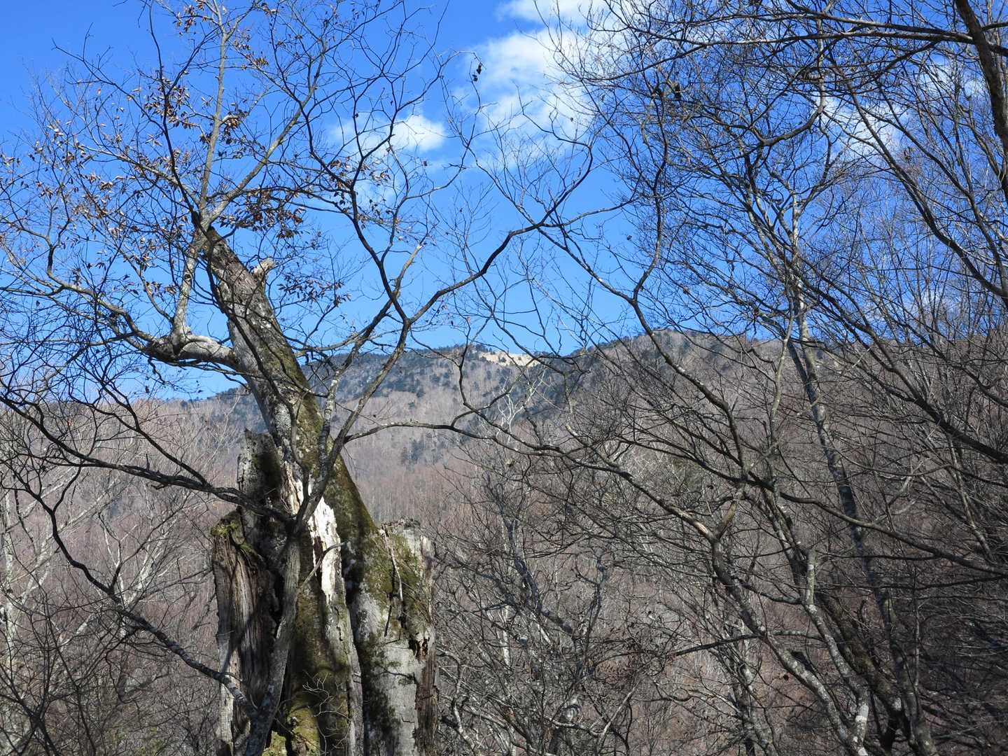 あの辺
大菩薩嶺？？