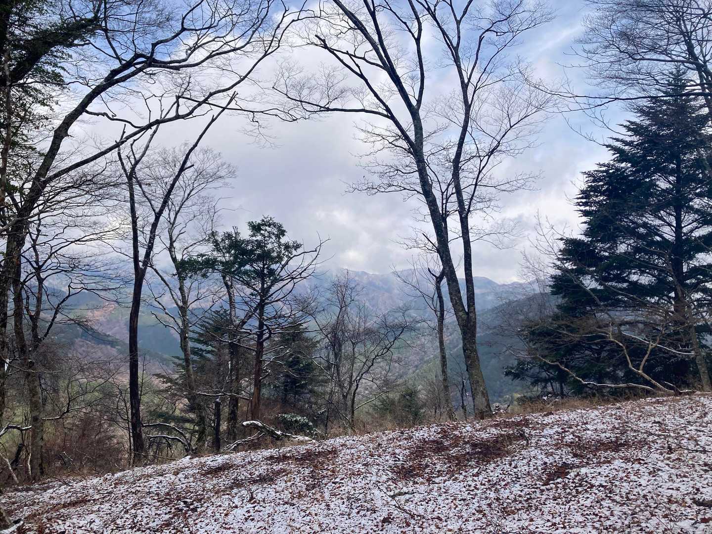 ミツバ岳登山口-大出山-権現山-茅ノ丸-二本杉峠-細川橋バ 縦走コースの写真