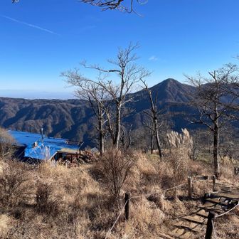檜洞丸の山頂からちょっと足をのばして、青が岳山荘を見に来ました。後ろに見えているのが丹沢最高峰の蛭ヶ岳ですね❗️