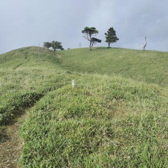 もうすぐ赤帽子山山頂