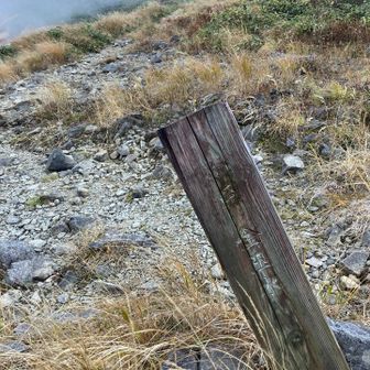 金玉水へ
マークしっかりついています
