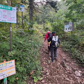 登山口