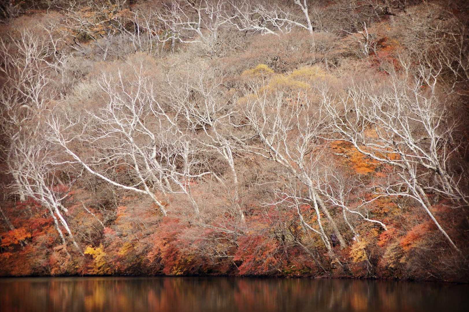 長七郎山 周回コースの写真