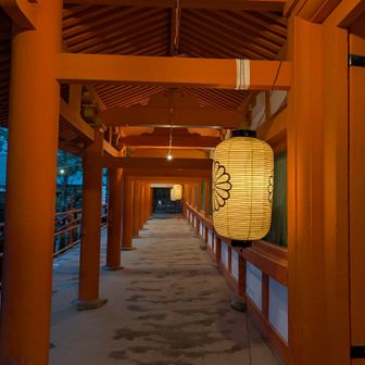 夕暮れの西回廊は提灯が照らしてくれてる🙆