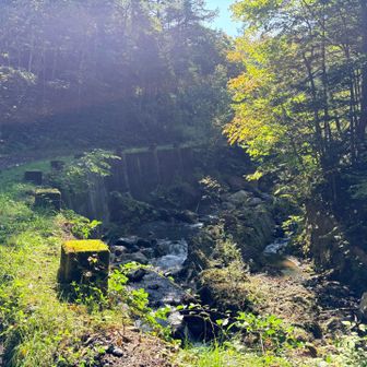 小川に沿って進む