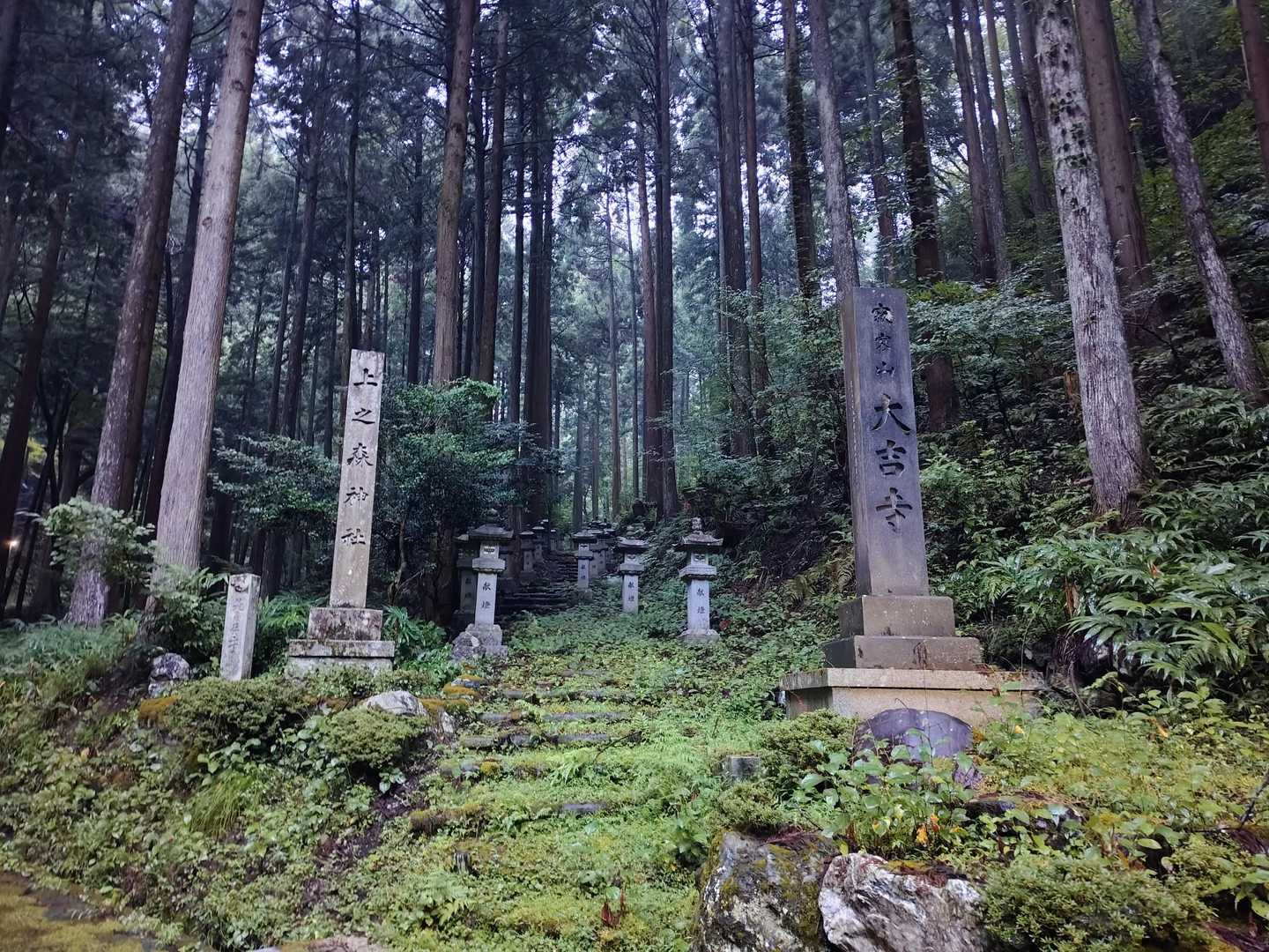 登山口参道を進みます