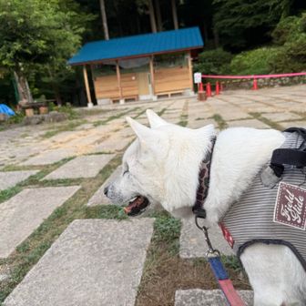 トイレが完成してた！
みんなで綺麗に使っていきたいですね