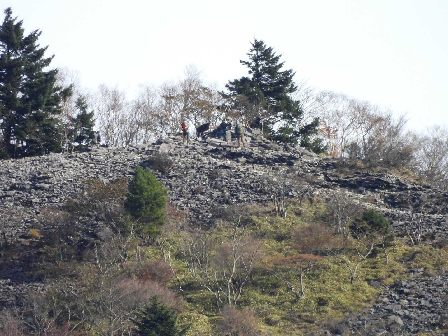 八海神社UP