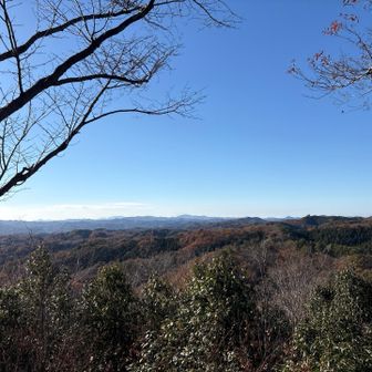 富士山見えないなあ