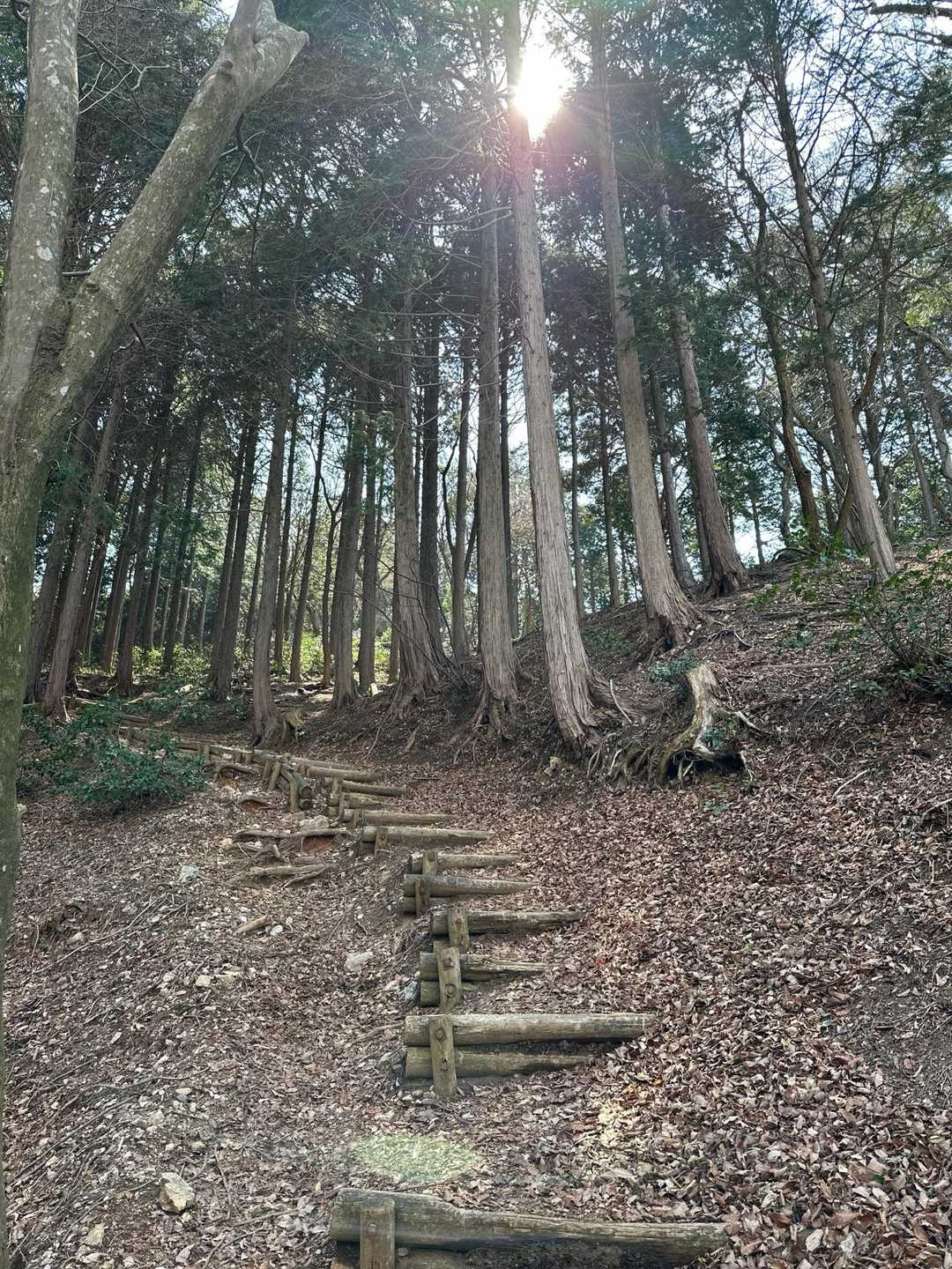 養老公園-養老の滝-三方山-小倉山-養老山 往復コースの写真